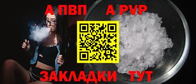стаф Дубна