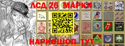 стаф Дубна