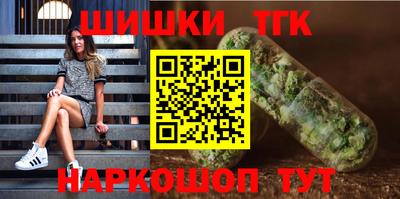 стаф Дубна