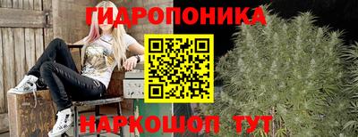 стаф Дубна