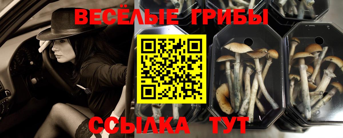 Галлюциногенные грибы мицелий  Вход с VPN  Новочеркасск 